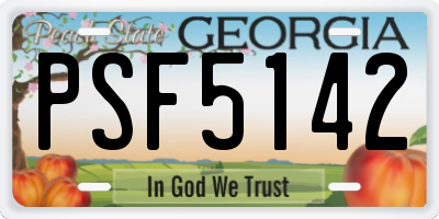 GA license plate PSF5142