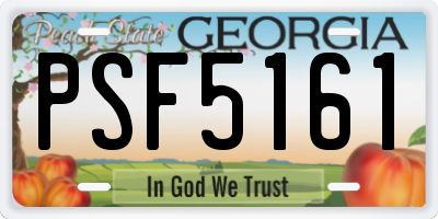 GA license plate PSF5161