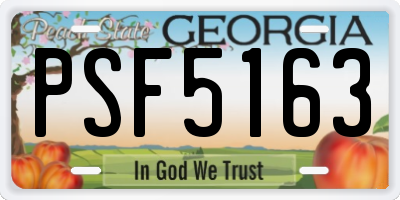 GA license plate PSF5163