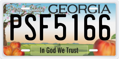 GA license plate PSF5166