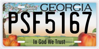 GA license plate PSF5167