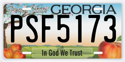 GA license plate PSF5173