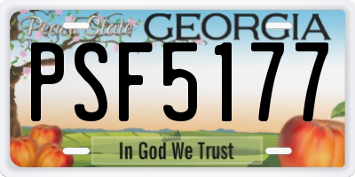 GA license plate PSF5177