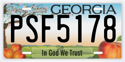 GA license plate PSF5178