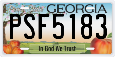 GA license plate PSF5183