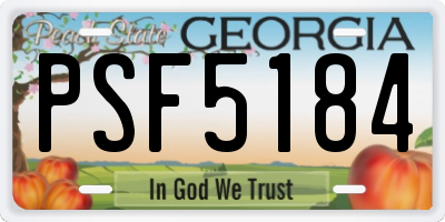 GA license plate PSF5184