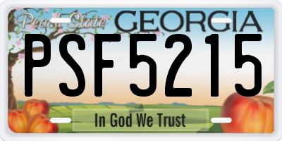 GA license plate PSF5215
