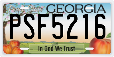 GA license plate PSF5216