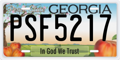 GA license plate PSF5217
