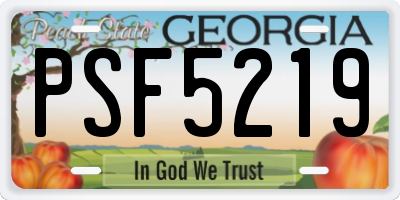 GA license plate PSF5219