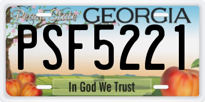 GA license plate PSF5221