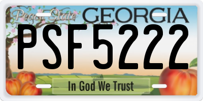 GA license plate PSF5222
