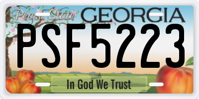 GA license plate PSF5223