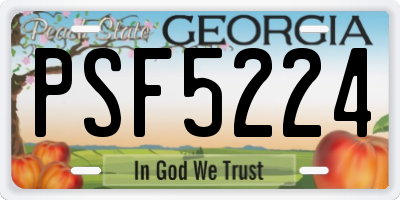 GA license plate PSF5224