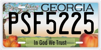 GA license plate PSF5225