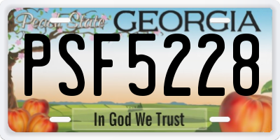 GA license plate PSF5228