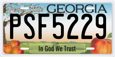 GA license plate PSF5229