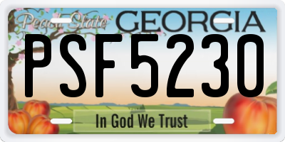 GA license plate PSF5230