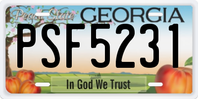 GA license plate PSF5231