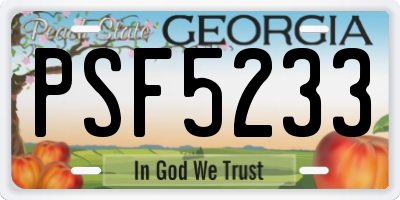 GA license plate PSF5233