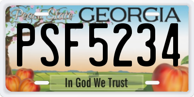 GA license plate PSF5234