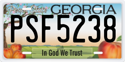 GA license plate PSF5238