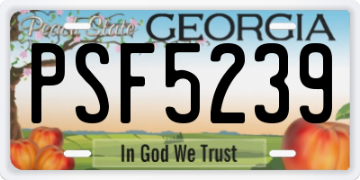 GA license plate PSF5239