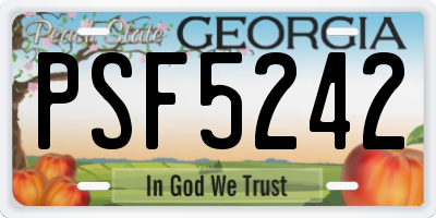 GA license plate PSF5242