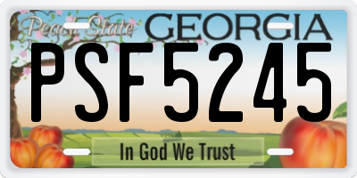 GA license plate PSF5245