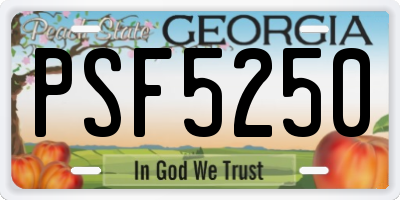 GA license plate PSF5250