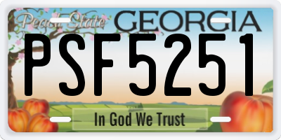 GA license plate PSF5251