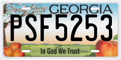 GA license plate PSF5253