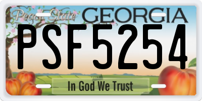 GA license plate PSF5254