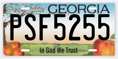 GA license plate PSF5255