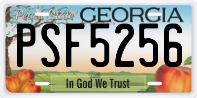 GA license plate PSF5256