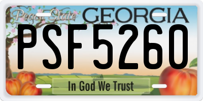 GA license plate PSF5260