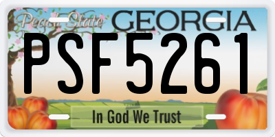GA license plate PSF5261