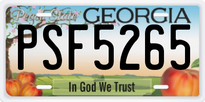GA license plate PSF5265