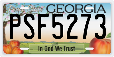 GA license plate PSF5273