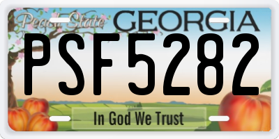 GA license plate PSF5282