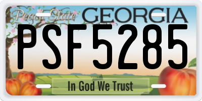 GA license plate PSF5285