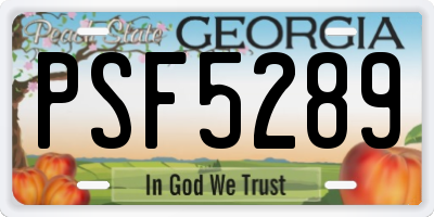 GA license plate PSF5289