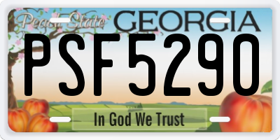 GA license plate PSF5290