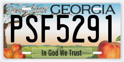 GA license plate PSF5291