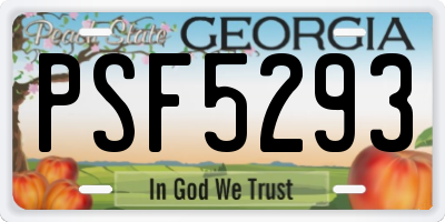 GA license plate PSF5293
