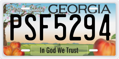 GA license plate PSF5294