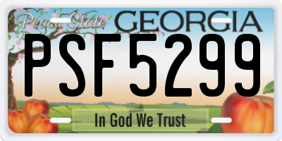 GA license plate PSF5299