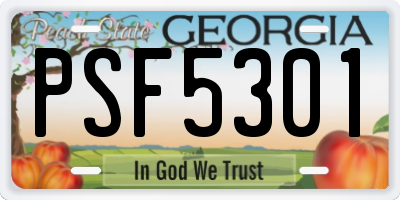 GA license plate PSF5301