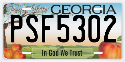 GA license plate PSF5302