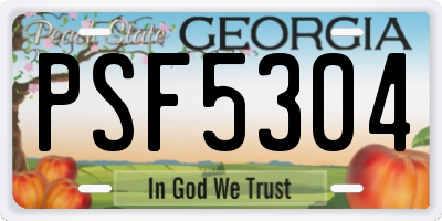 GA license plate PSF5304